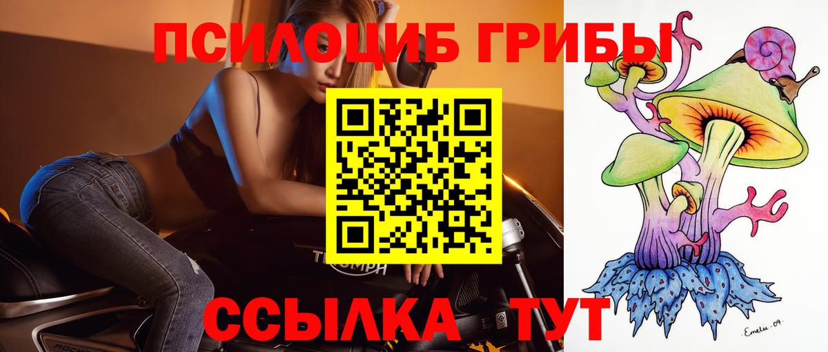 Верхний Уфалей  Псилоцибиновые грибы мицелий  Вход с VPN 